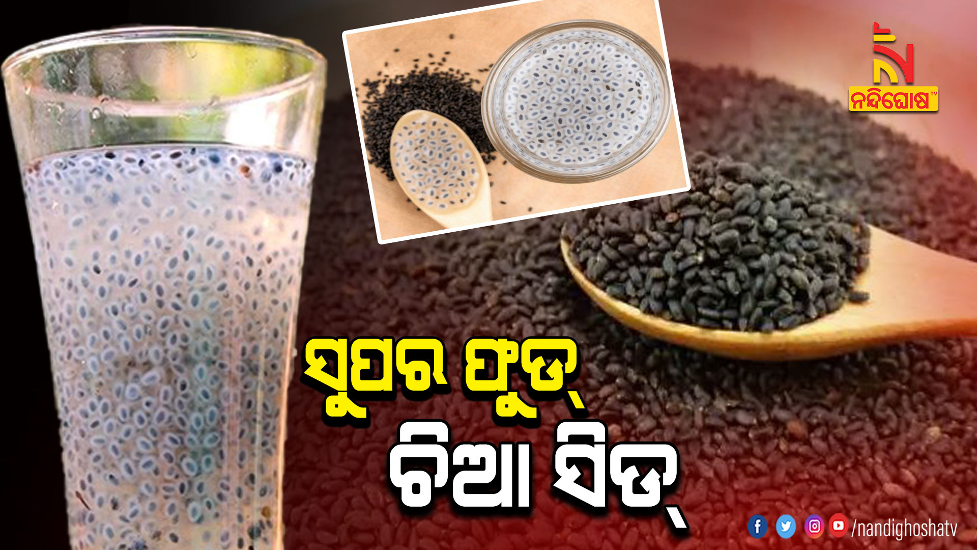 ସୁପର-ଫୁଡ୍-ଚିଆ-ସିଡ୍