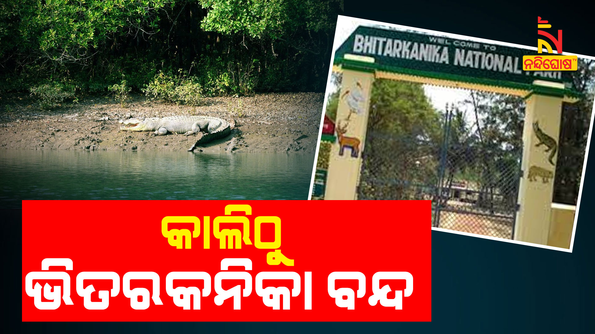 କାଲିଠୁ-ଭିତରକନିକା-ବନ୍ଦ---BHITARAKANIKA_AVO