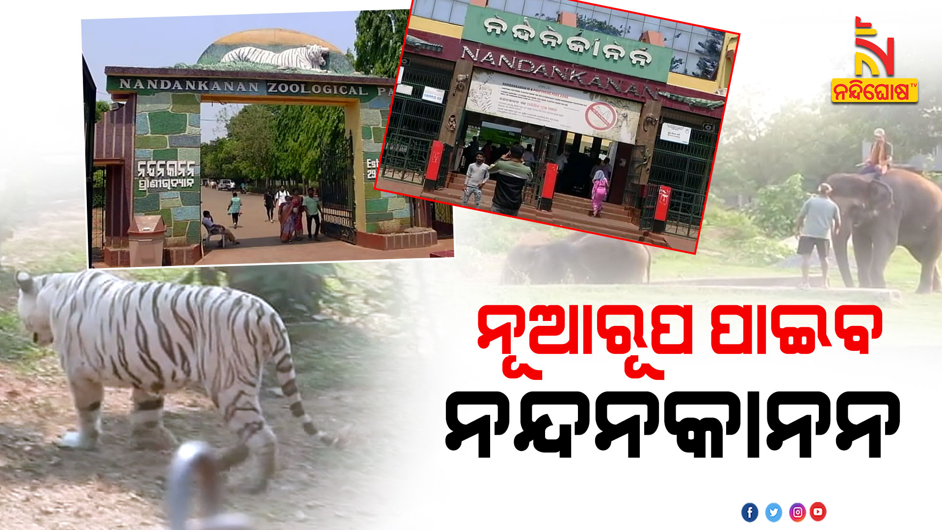 ନୂଆରୂପ-ପାଇବ-ନନ୍ଦନକାନନ