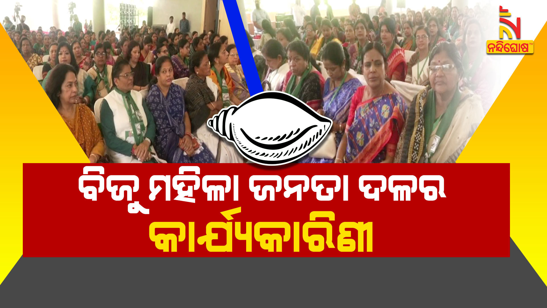 ବିଜୁ-ମହିଳା-ଜନତା-ଦଳର-କାର୍ଯ୍ୟକାରିଣୀ-ଆରମ୍ଭ--