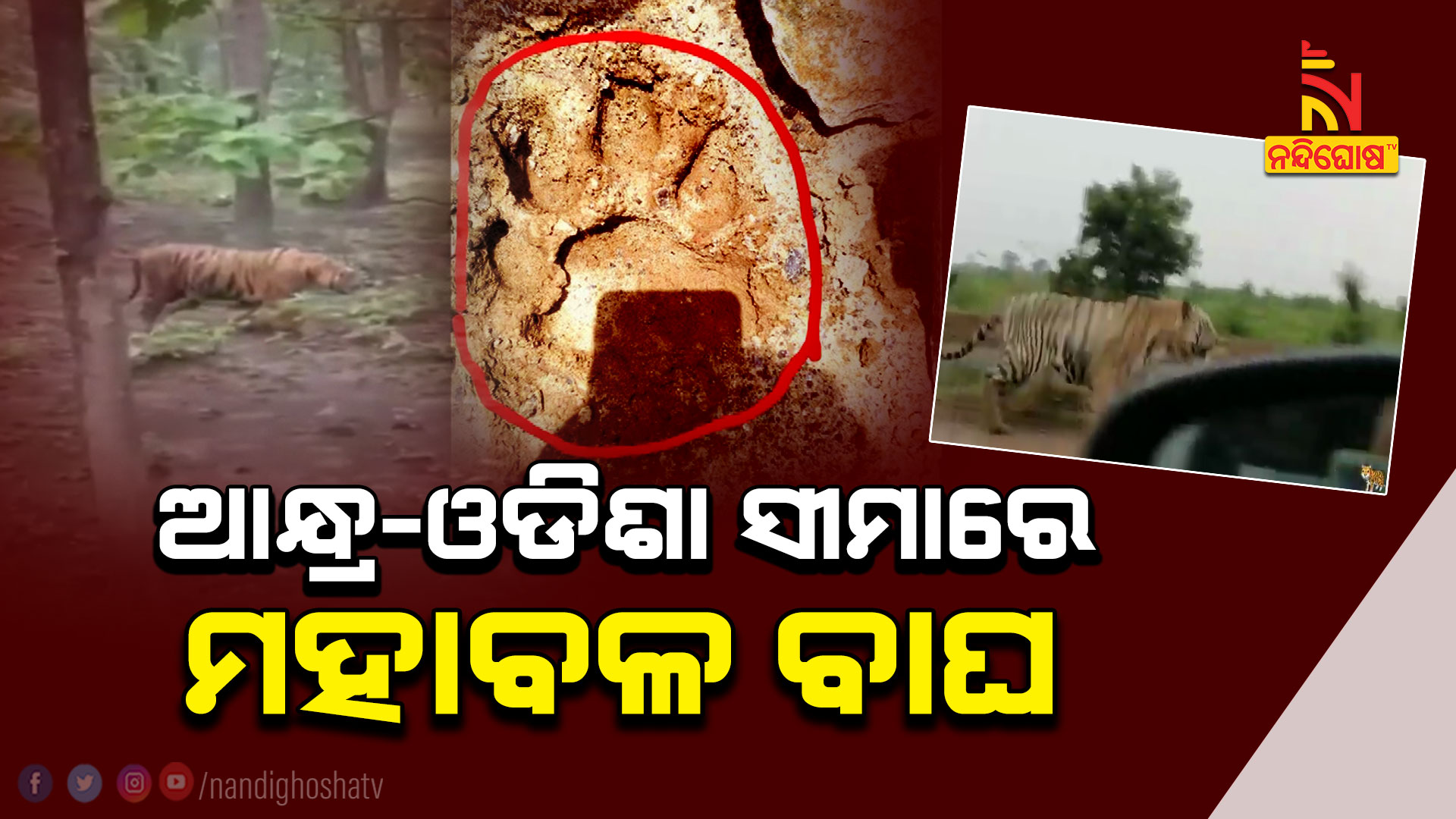 ଆନ୍ଧ୍ର-ଓଡିଶା-ସୀମାରେ