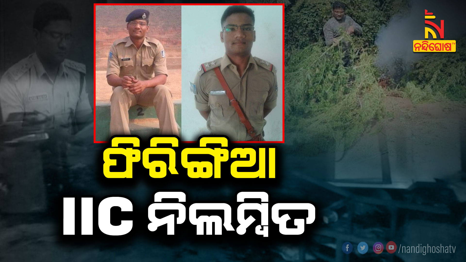 ଫିରିଙ୍ଗିଆ-IIC-ନିଲମ୍ବିତ