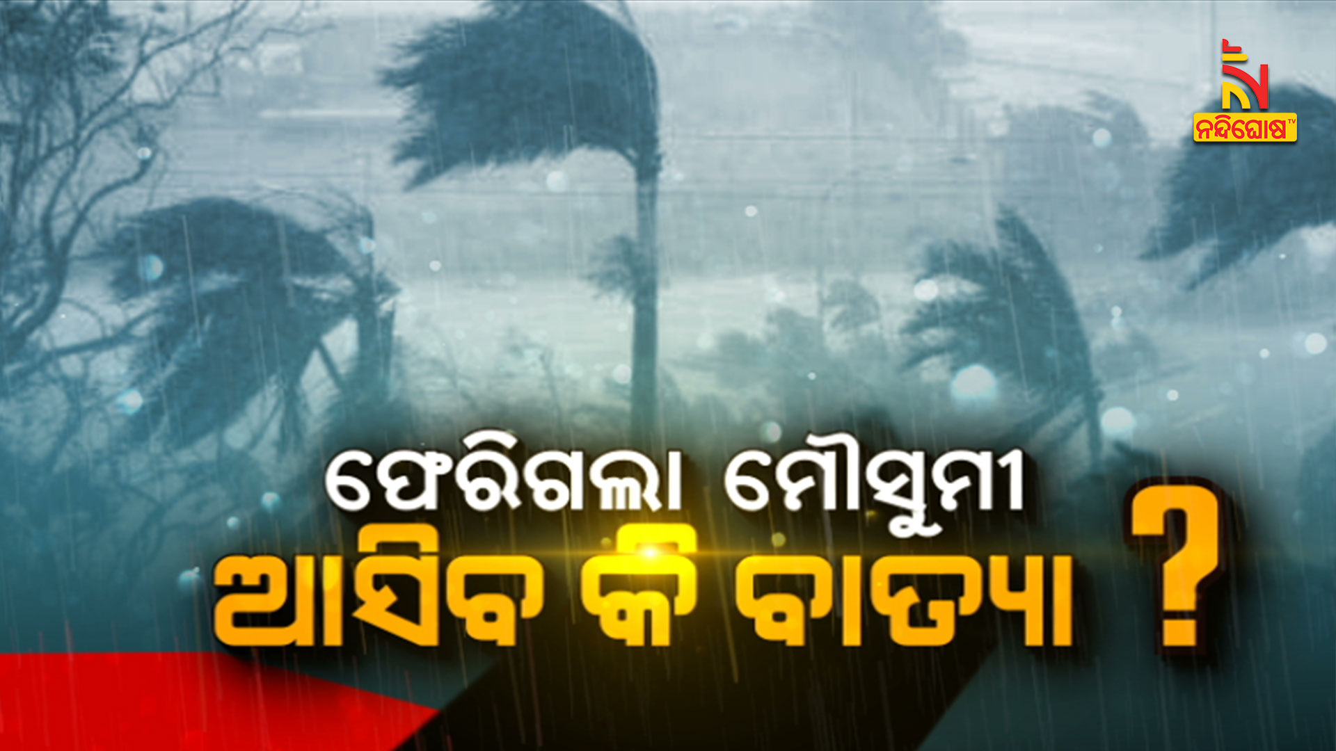 4.30pm-live-3