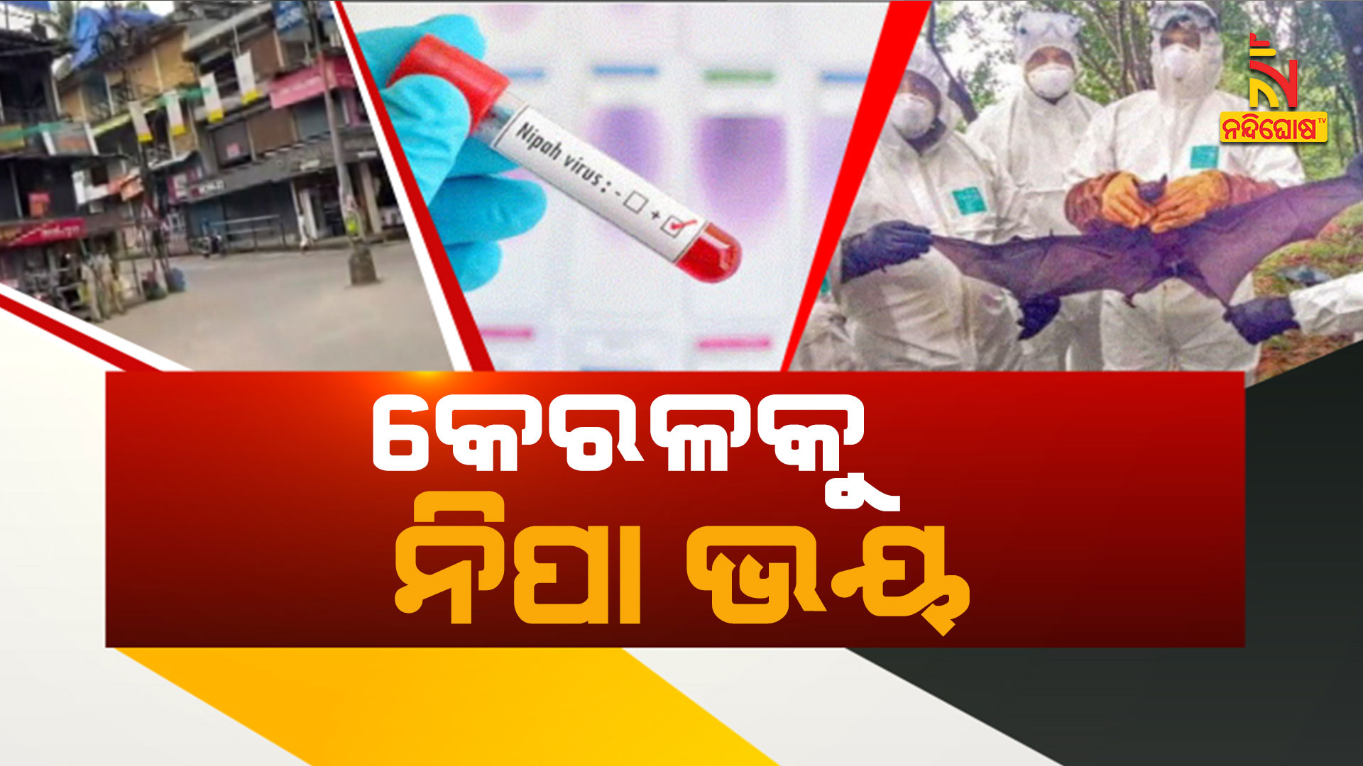 କେରଳକୁ-ନିପା-ଭୟ