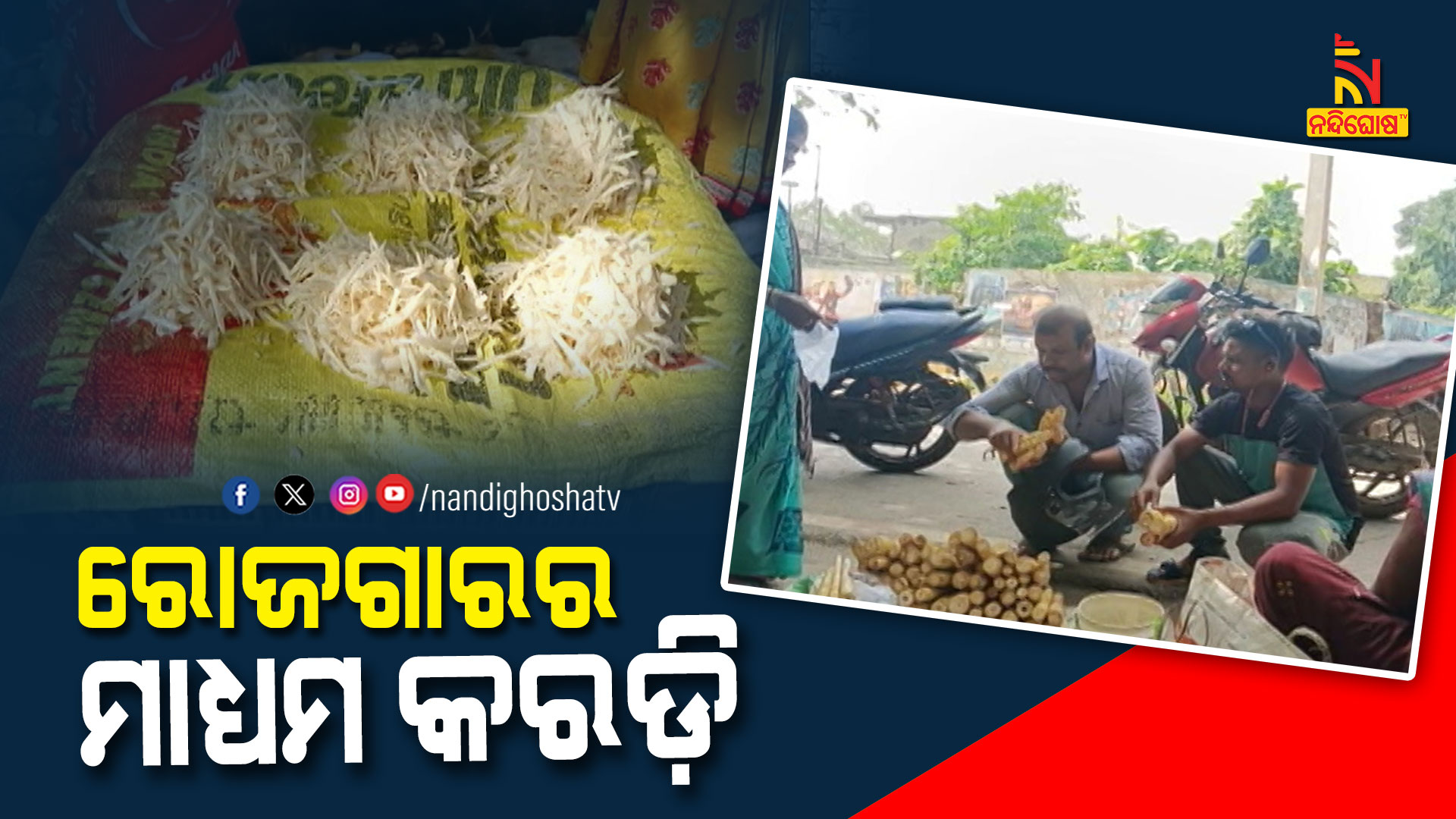 ରୋଜଗାରର-ମାଧ୍ୟମ-କରଡି---PKG-RAYGADA KARADI