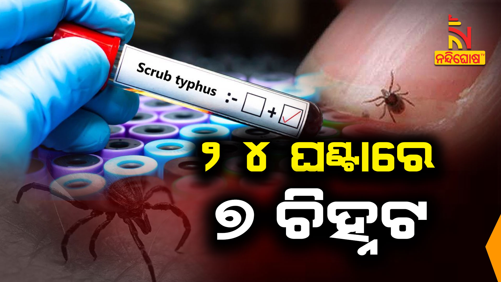 ୨୪-ଘଣ୍ଟାରେ-୭-ଚିହ୍ନଟ