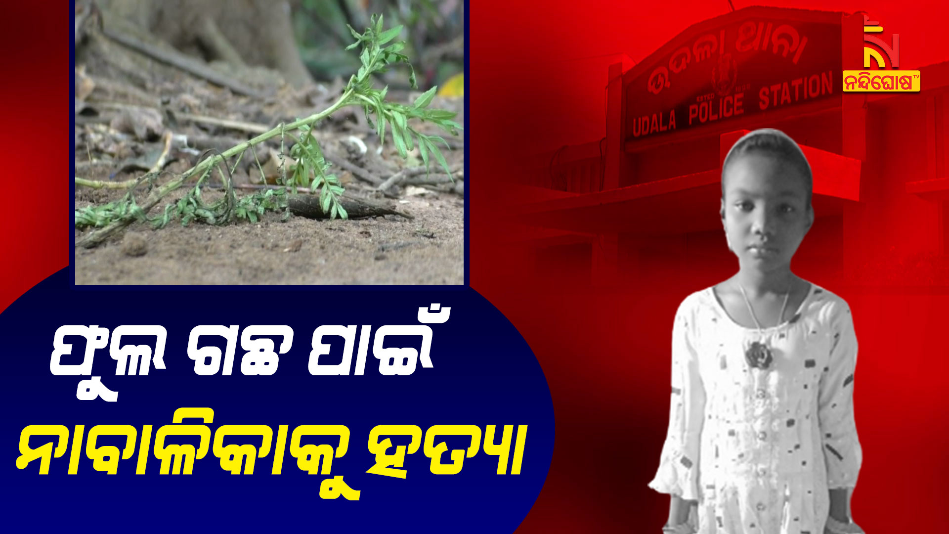 ଫୁଲ-ଗଛ-ପାଇଁ-ନାବାଳିକାକୁ-ହତ୍ୟା