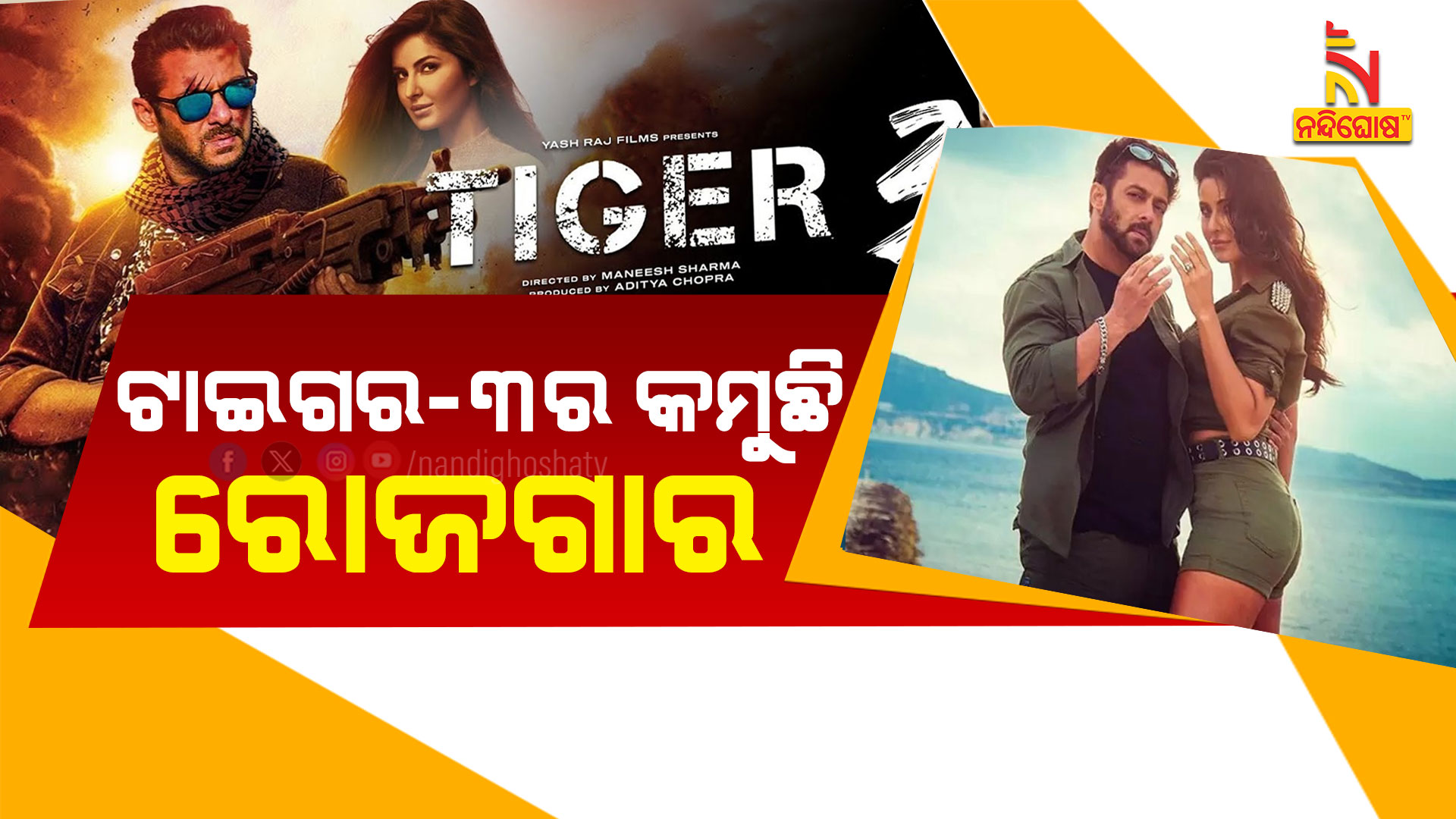 ଟାଇଗର-୩ର-କମୁଛି-ରୋଜଗାର