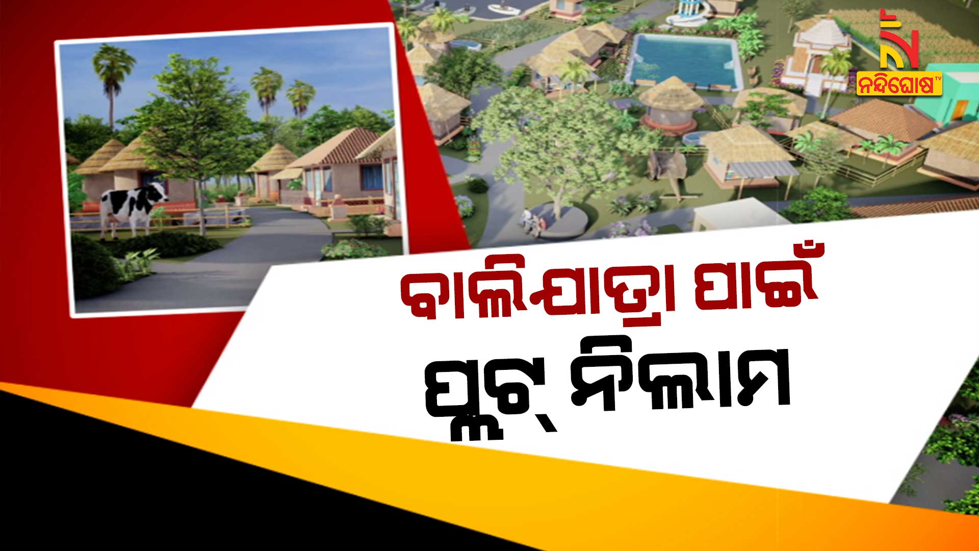ବାଲିଯାତ୍ରା-ପାଇଁ-ପ୍ଲଟ୍-ନିଲାମ