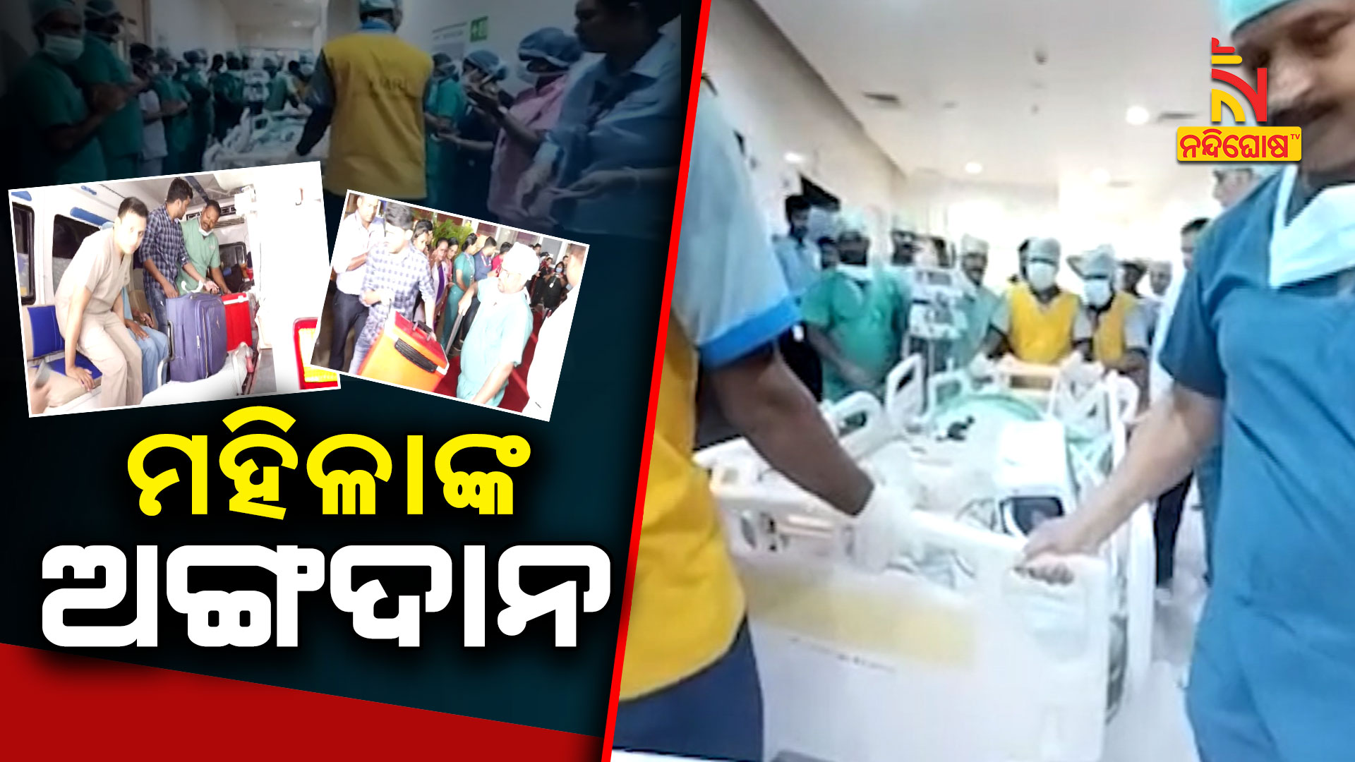 ମହିଳାଙ୍କ-ଅଙ୍ଗଦାନ