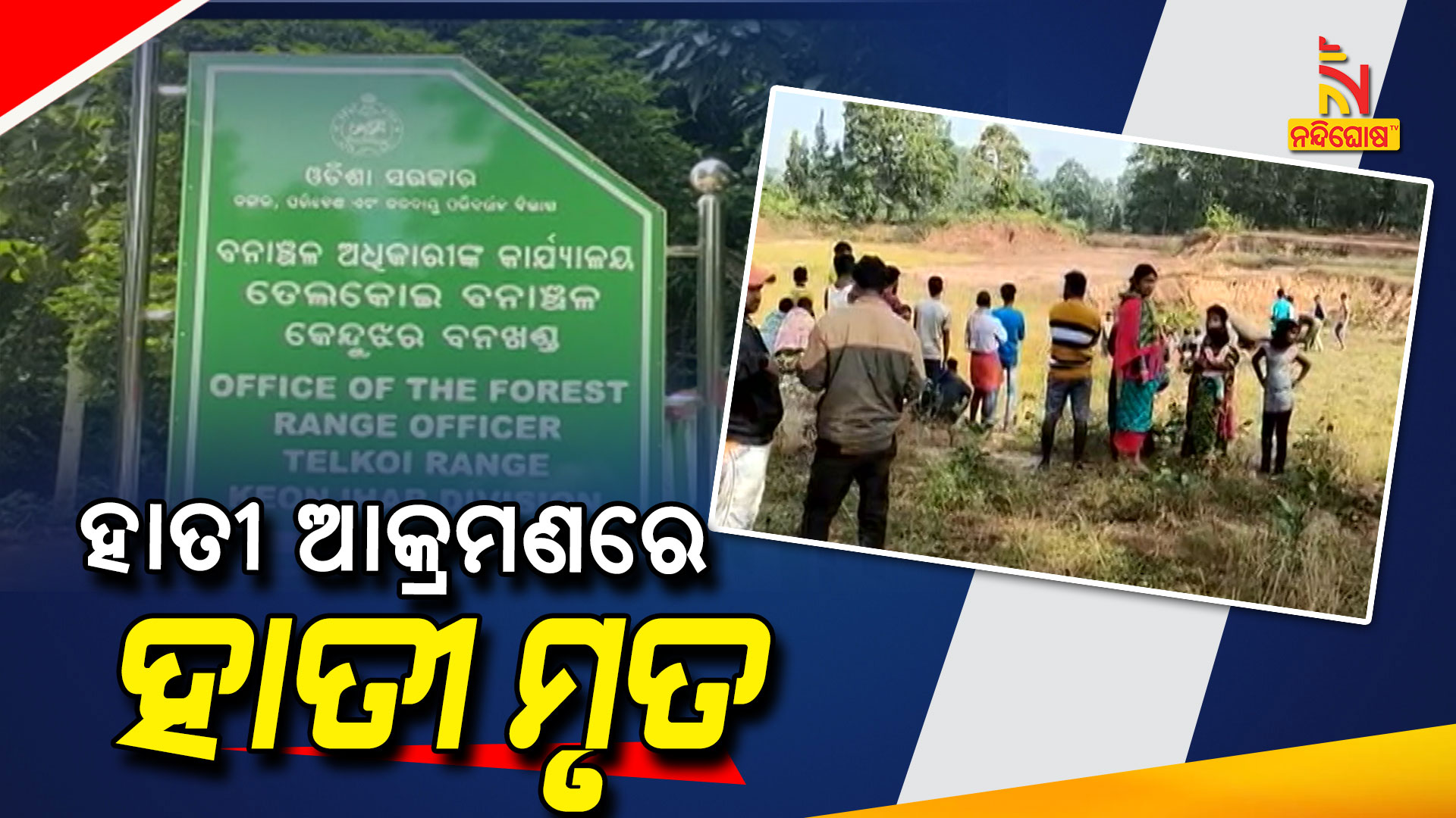 ହାତୀ-ଆକ୍ରମଣରେ-ହାତୀ ମୃତ