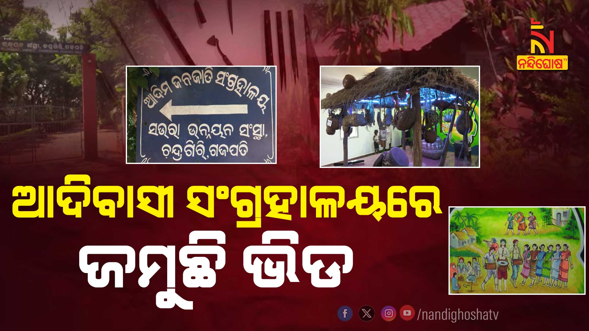 ଆଦିବାସୀ-ସଂଗ୍ରହାଳୟରେ-ଜମୁଛି-ଭିଡ