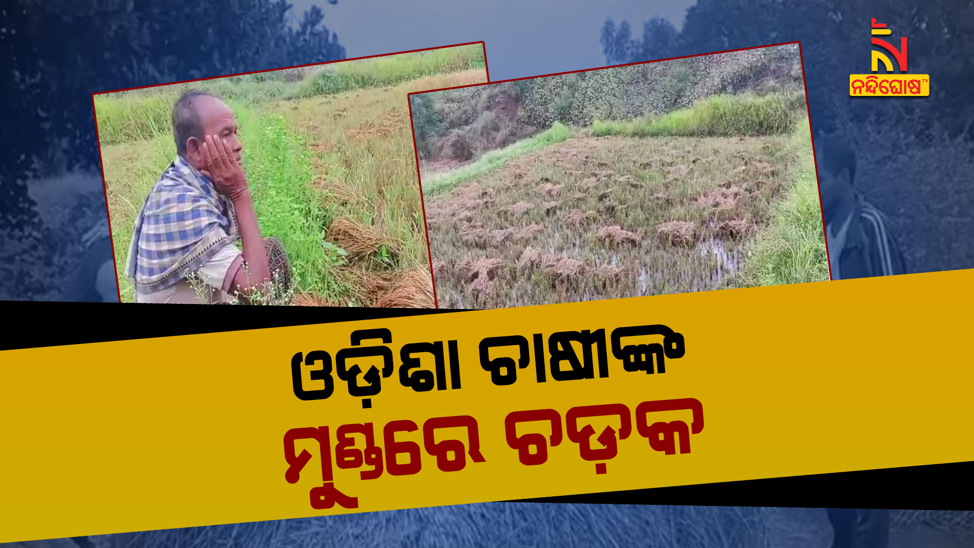 ଓଡ଼ିଶା-ଚାଷୀଙ୍କ-ମୁଣ୍ଡରେ-ଚଡ଼କ