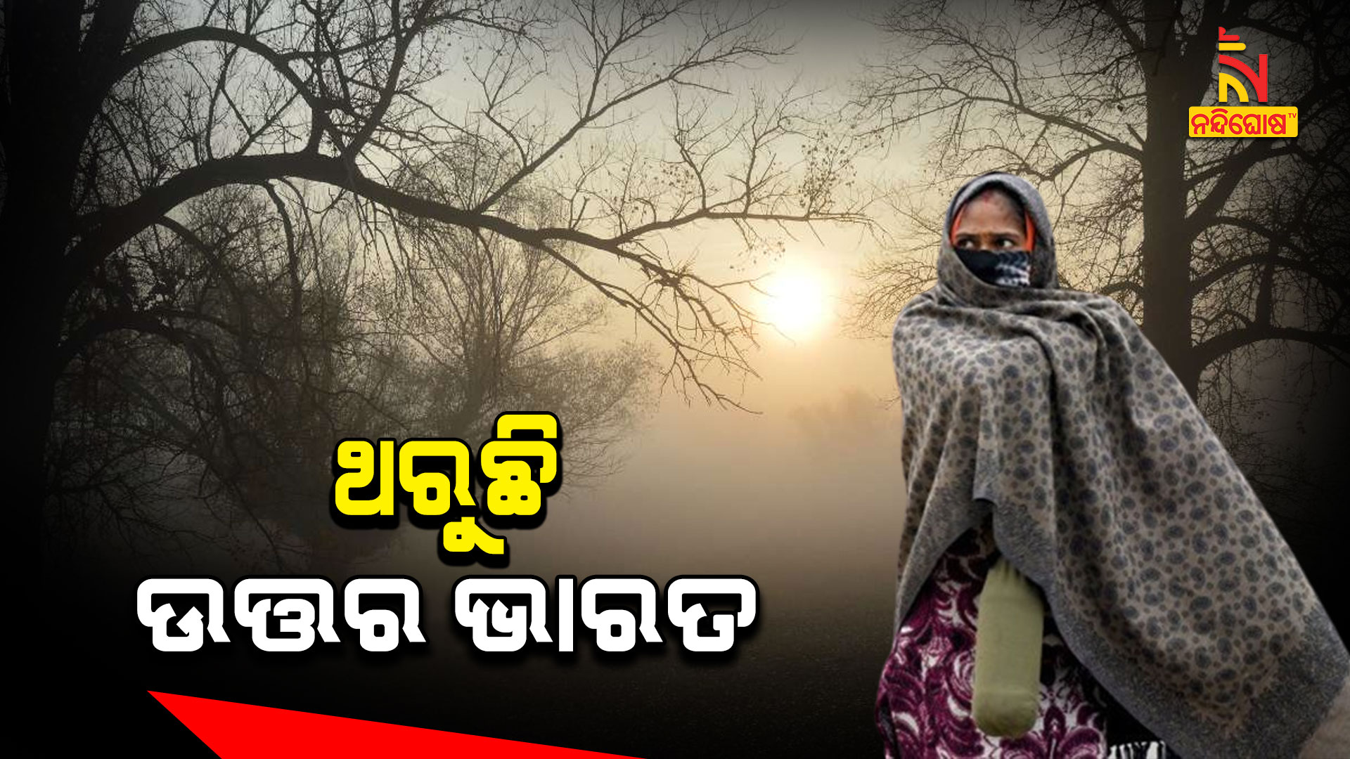 ଥରୁଛି-ଉତ୍ତର-ଭାରତ