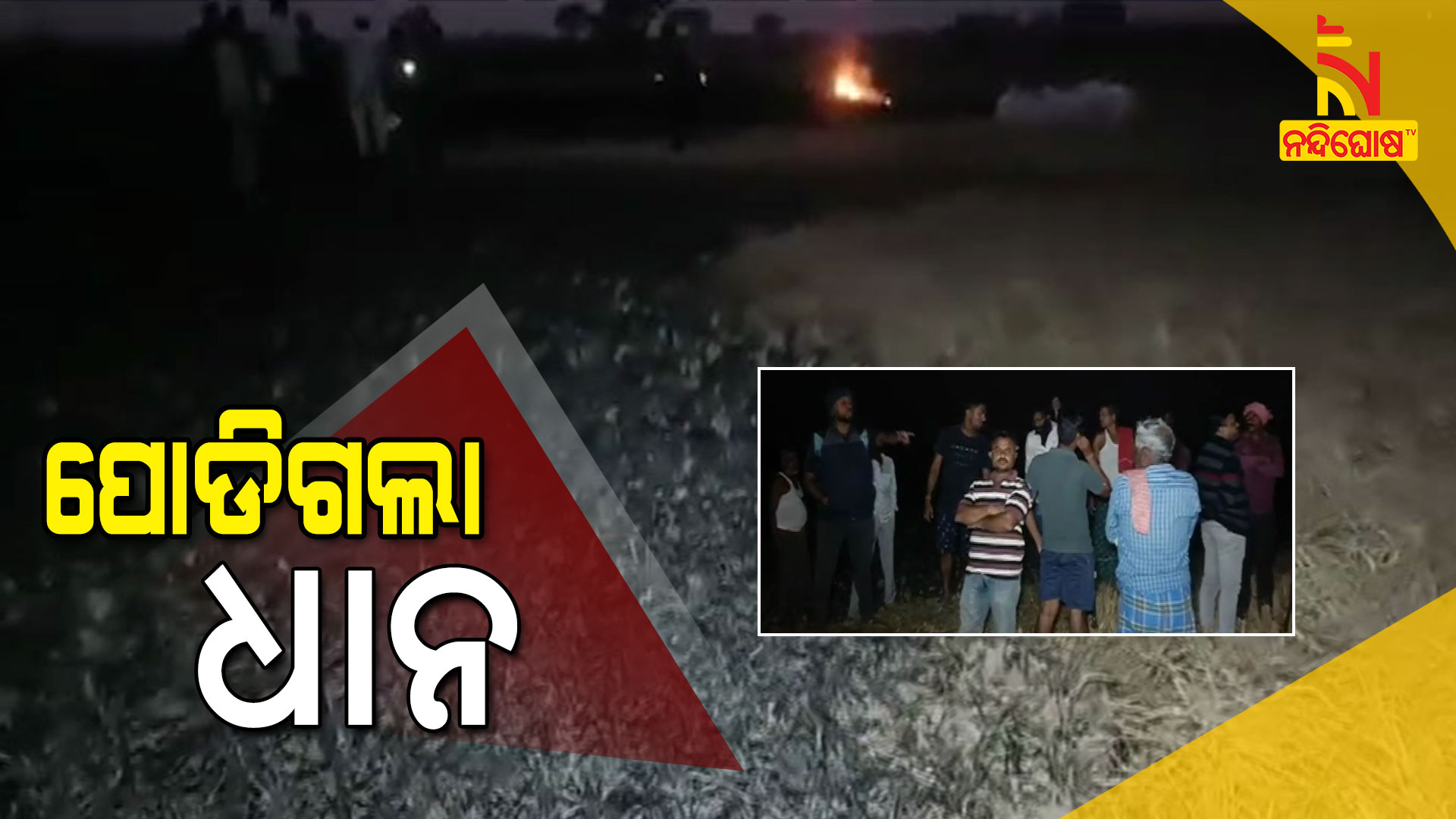 ପୋଡିଗଲା-ଧାନ-TANGI_FIRE-IN-CROP_AVB_SAROJ