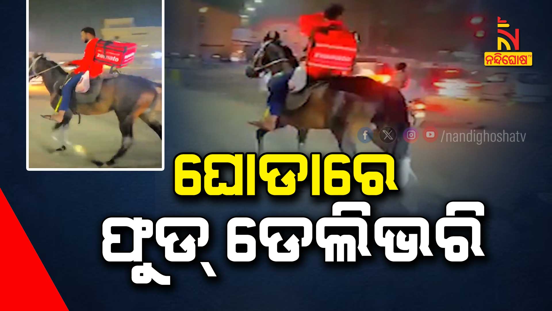 ଘୋଡାରେ-ଫୁଡ୍-ଡେଲିଭରି