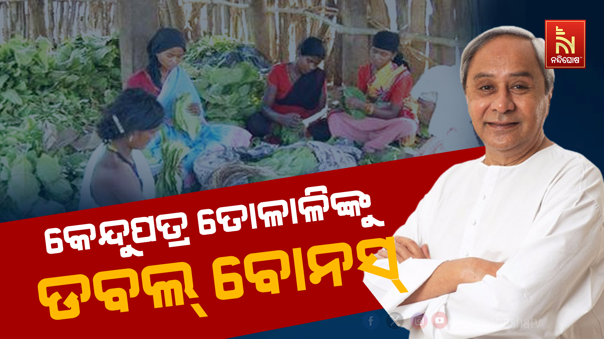 କେନ୍ଦୁପତ୍ର ତୋଳାଳିଙ୍କୁ ମିଳିବ ଡବଲ ବୋନସ