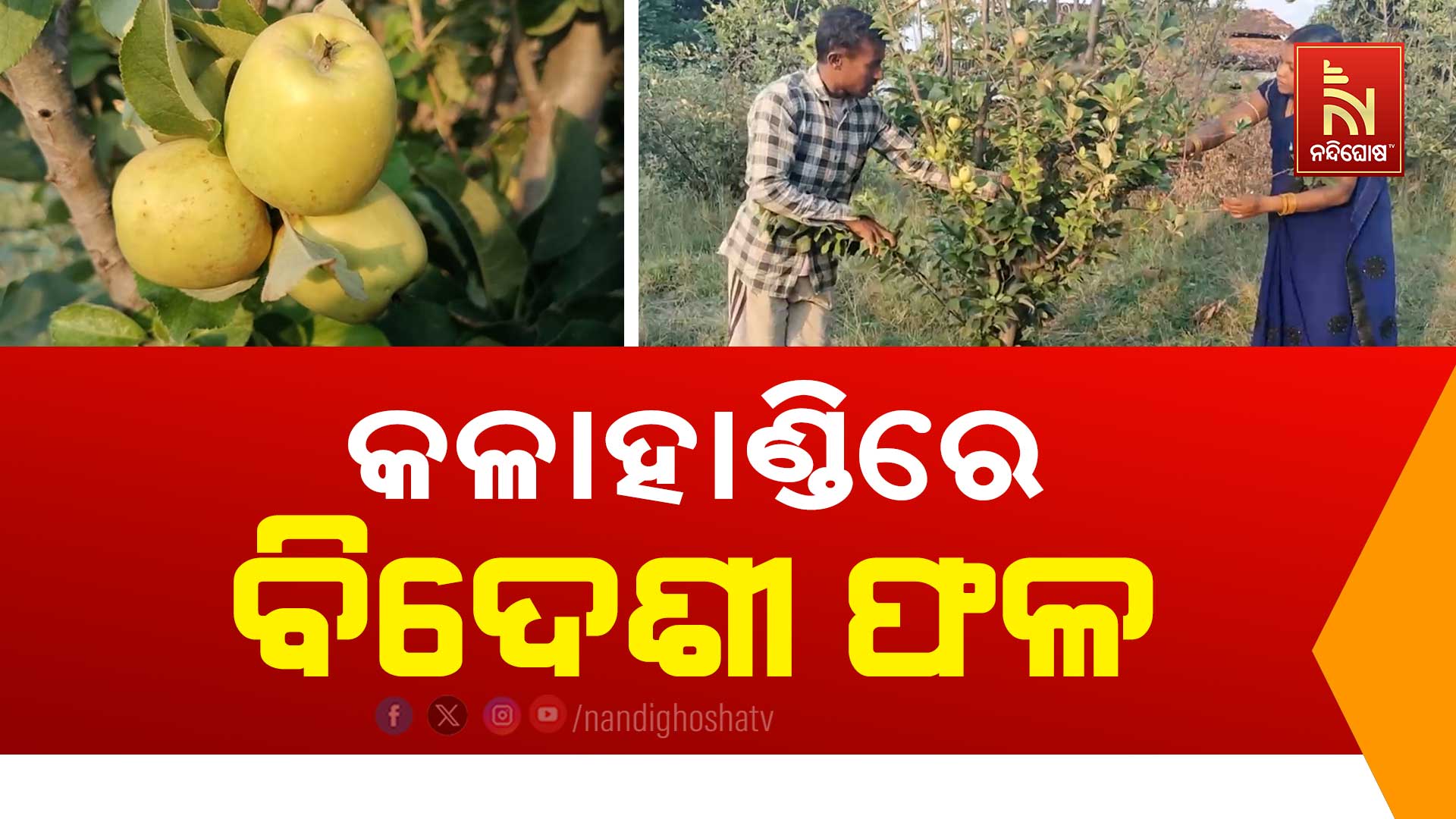 DHARMAGARH_SUCCESSFUL FARMER