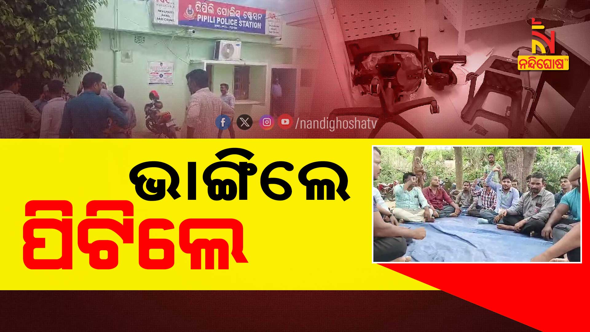 PIPILI_JANTRINKU-MADA-2