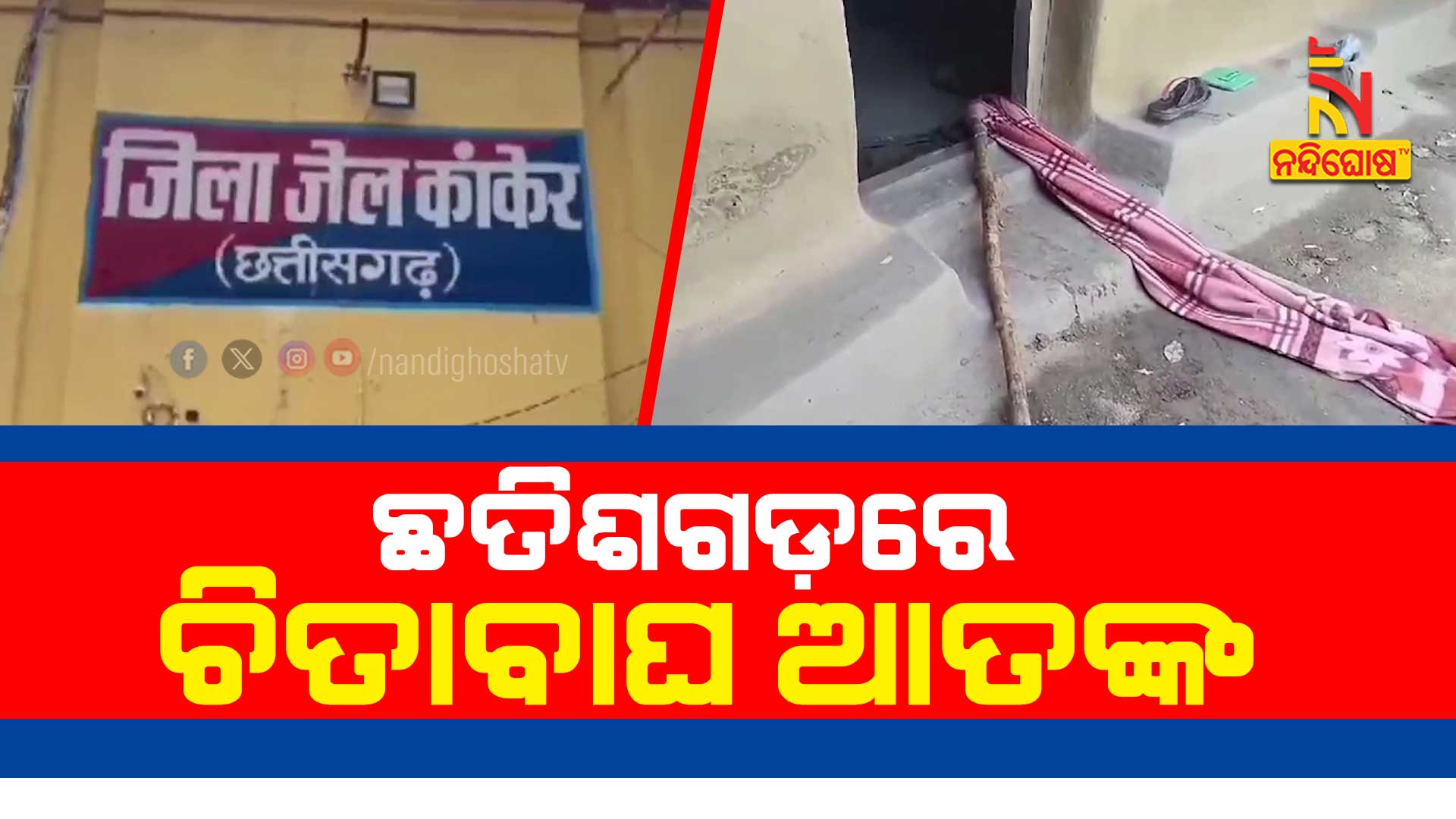 ଛତିଶଗଡ଼ରେ-ଚିତାବାଘ-ଆତଙ୍କ---AVO_UMERKOTE_TIGERup