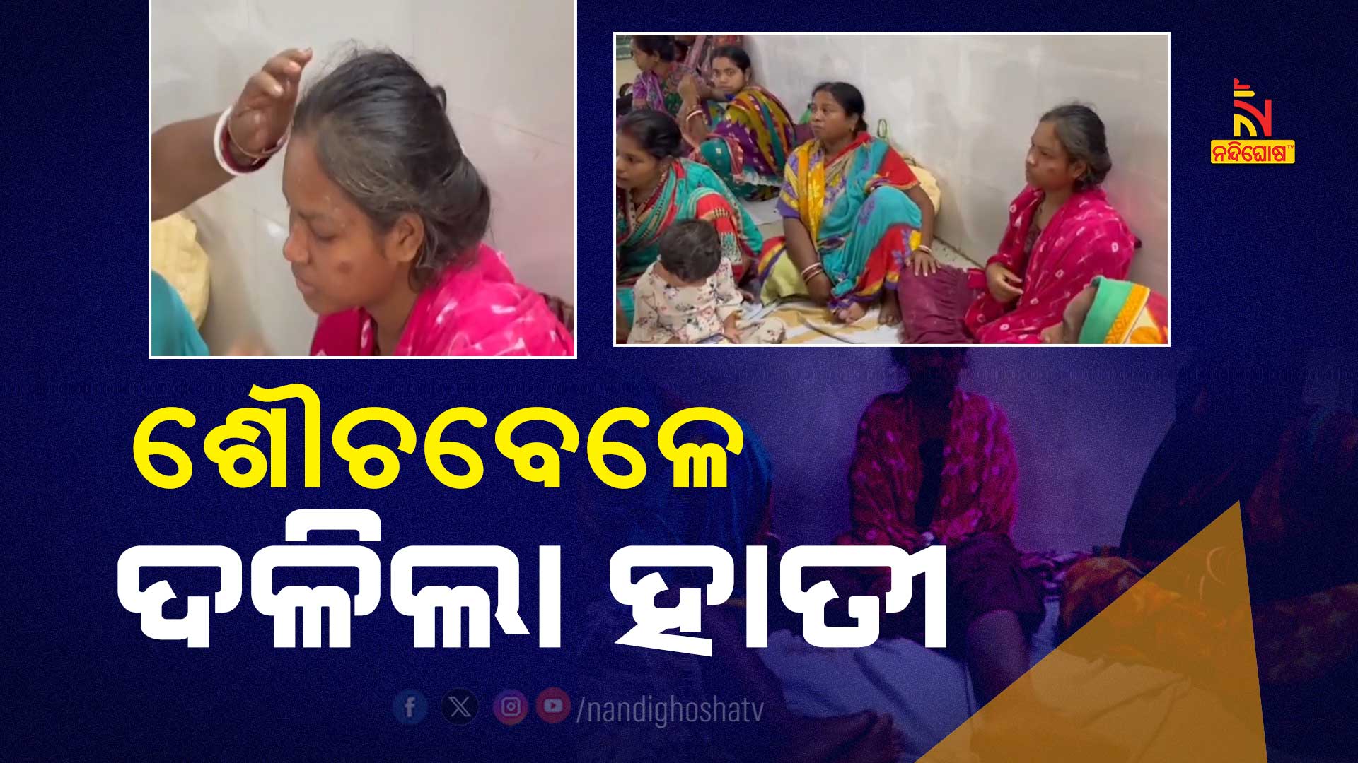 ଶୌଚବେଳେ-ଦଳିଲା-ହାତୀ---11AM_AVO_NILAGIRI_ELEPHANT_ATTACK