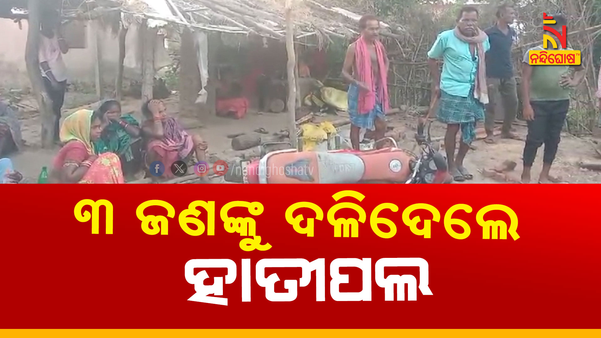 ୩-ଜଣଙ୍କୁ-ଦଳିଦେଲେ-ହାତୀପଲ-BARAGARH_ELEPHANT-ATTACK_AVO_HIMANSHU