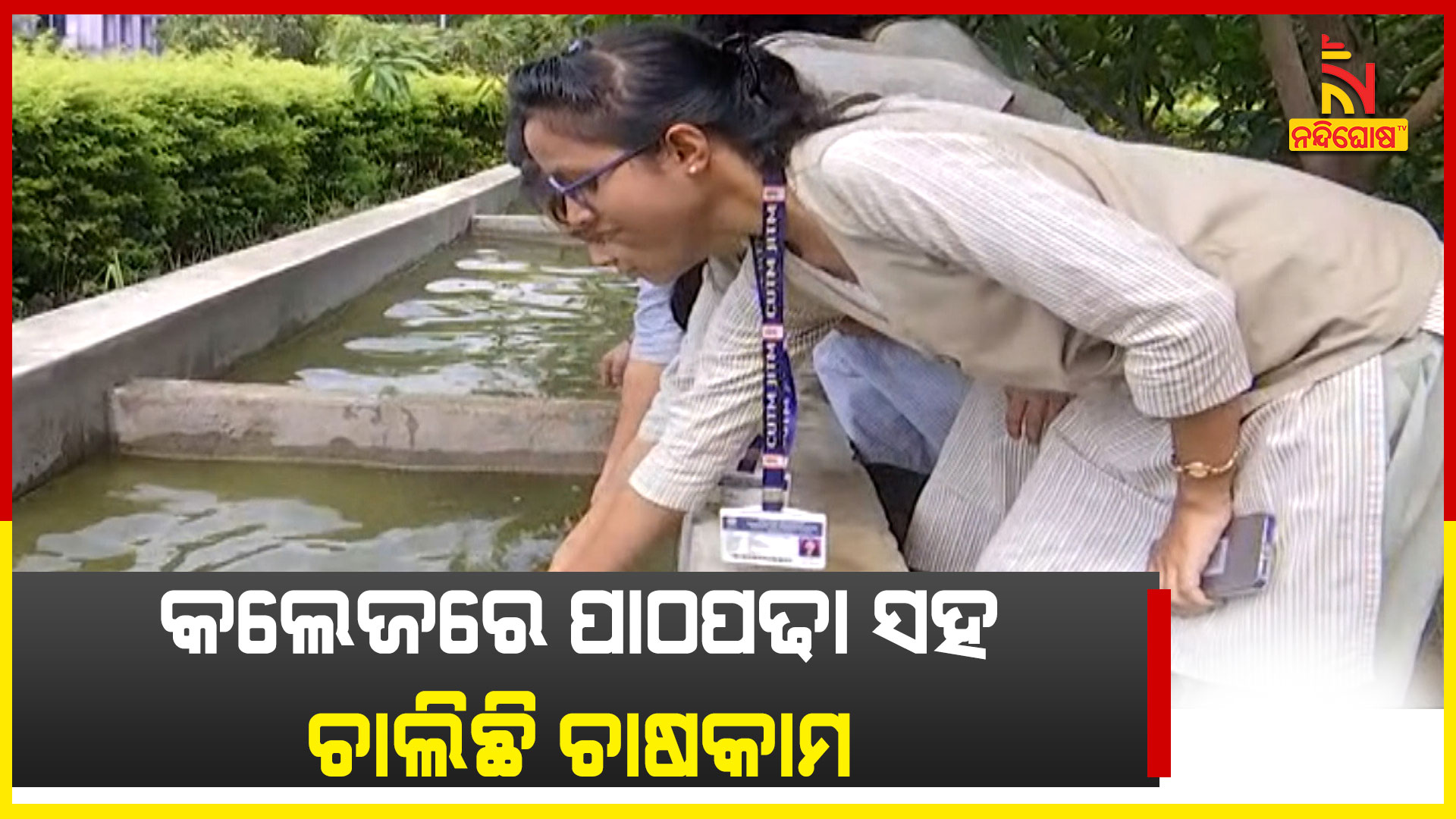 BOLANGIR_FARMING_PKG_ABHINAN