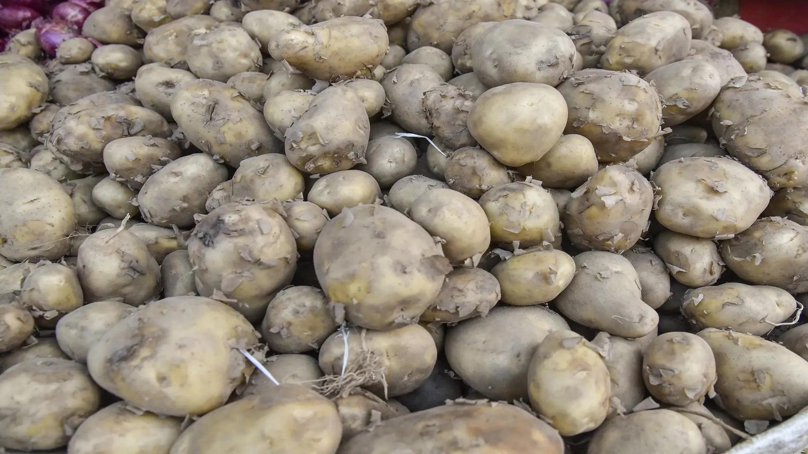 govt-to-start-talks-with-potato-traders-to-end-strike (1)
