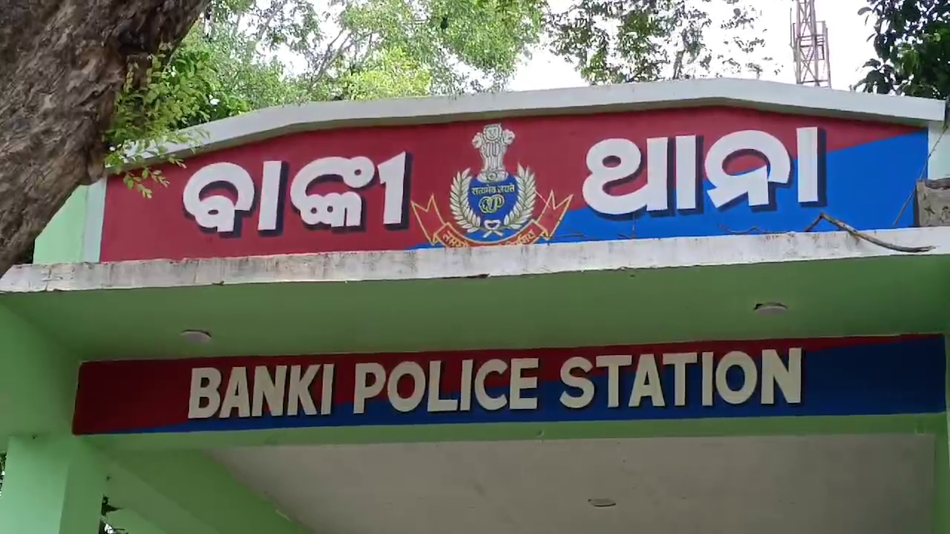 vlcsnap-2024-07-30-17h33m06s51