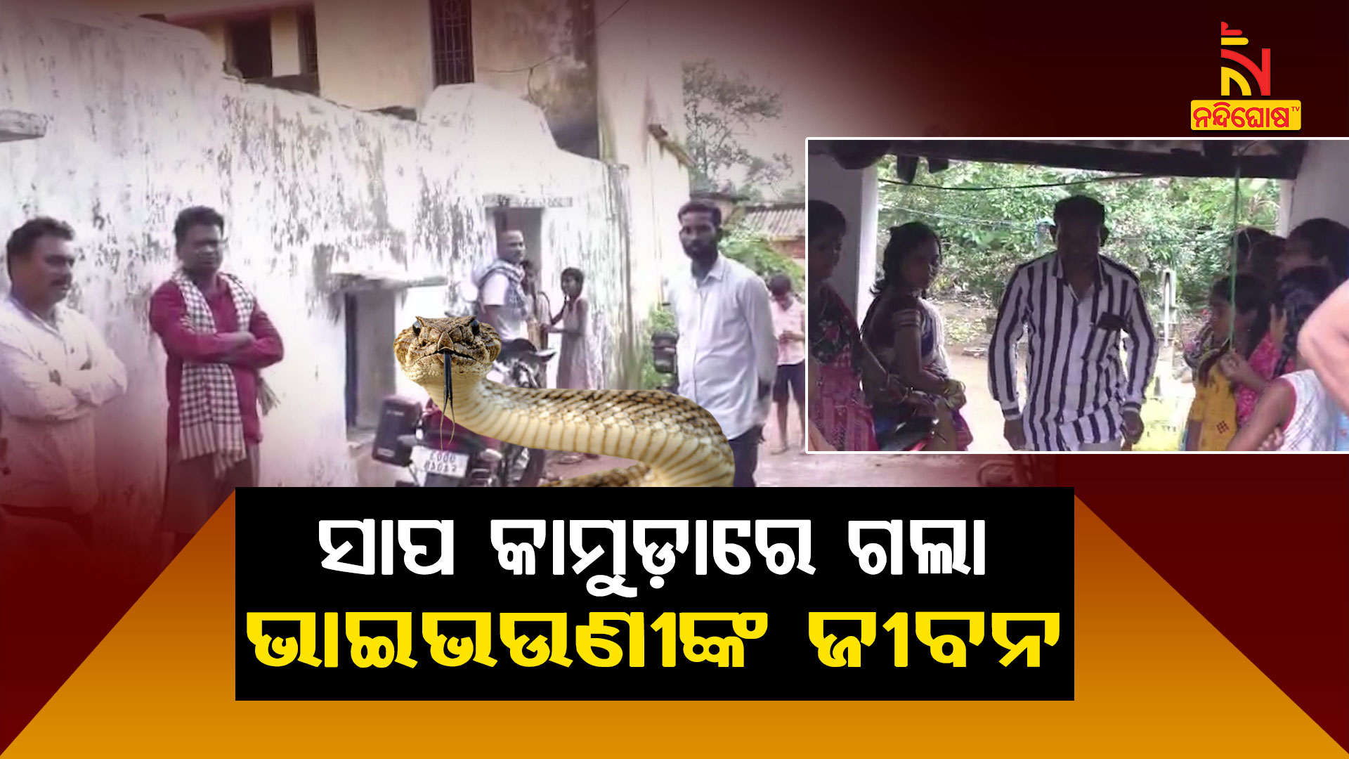 ସାପ-କାମୁଡ଼ାରେ-ଗଲା-ଭାଇଭଉଣୀଙ୍କ-ଜୀବନ