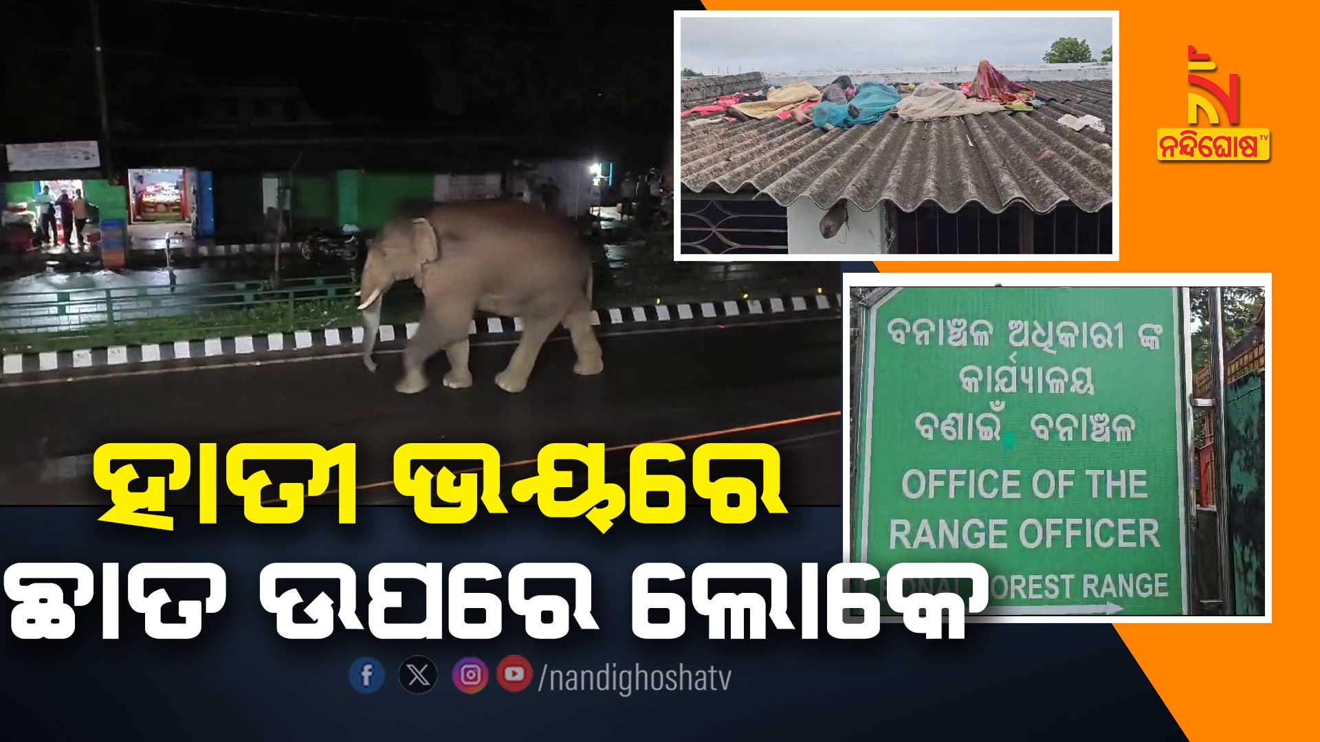 ହାତୀ-ଭୟରେ-ଛାତ-ଉପରେ-ଲୋକେ