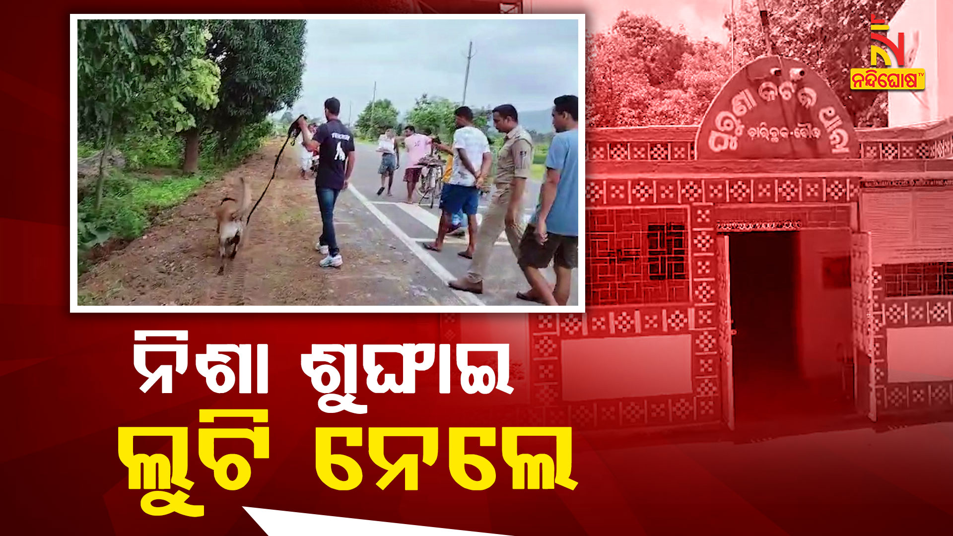 ନିଶା-ଶୁଙ୍ଘାଇ-ଲୁଟି-ନେଲେ