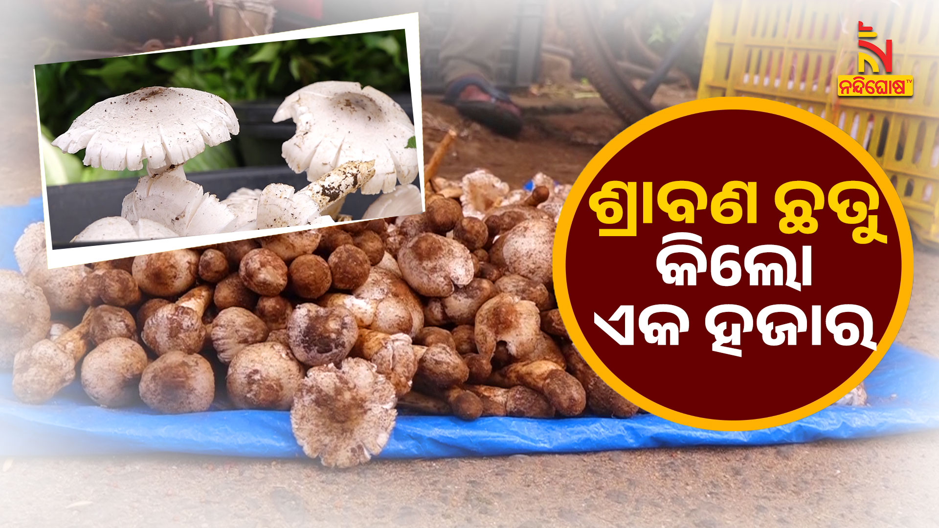 ଶ୍ରାବଣ-ଛ-କିଲୋ-ଏକହଜାର