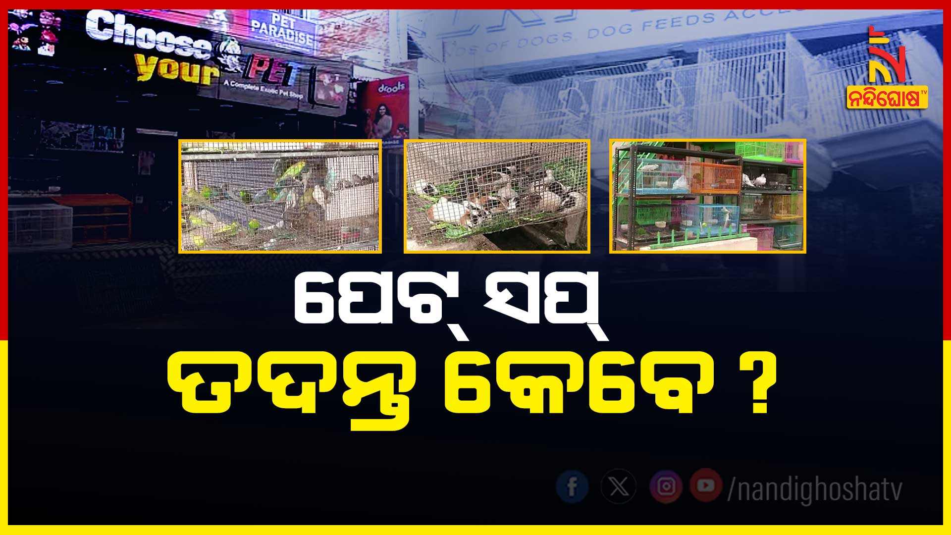 PKG_PET_SHOP_BERHAMPUR