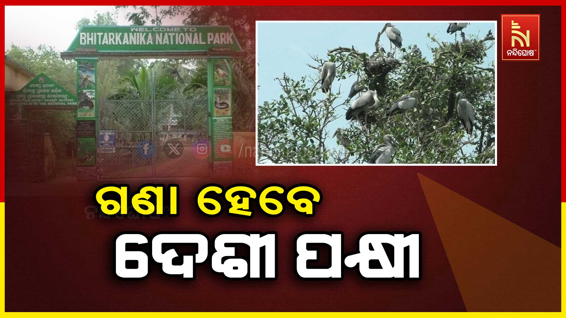 RAJNAGAR_BIRD-COUNTING