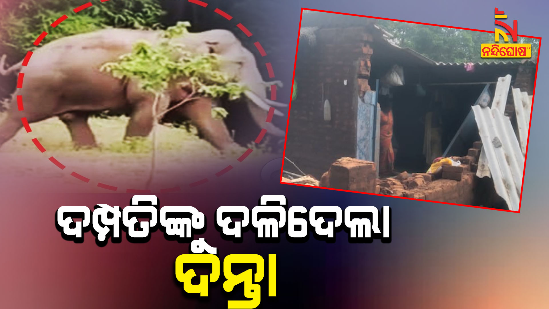 ଦମ୍ପତିଙ୍କୁ-ଦଳିଦେଲା-ଦନ୍ତା