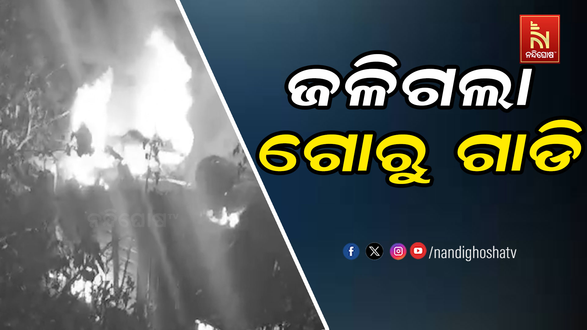 ଜଳିଗଲା-ଗୋରୁ-ଗାଡି