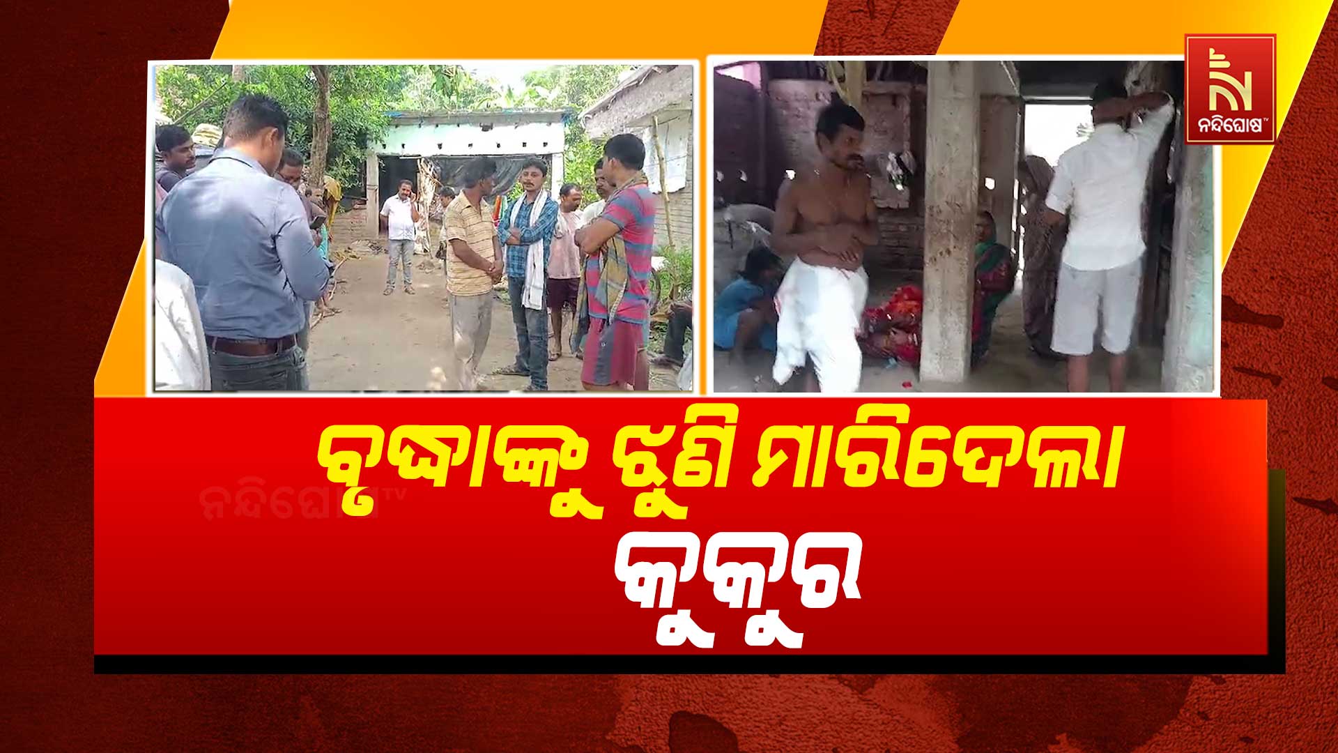 ବୃଦ୍ଧାଙ୍କୁ-ଝୁଣି-ମାରିଦେଲା-କୁକୁର