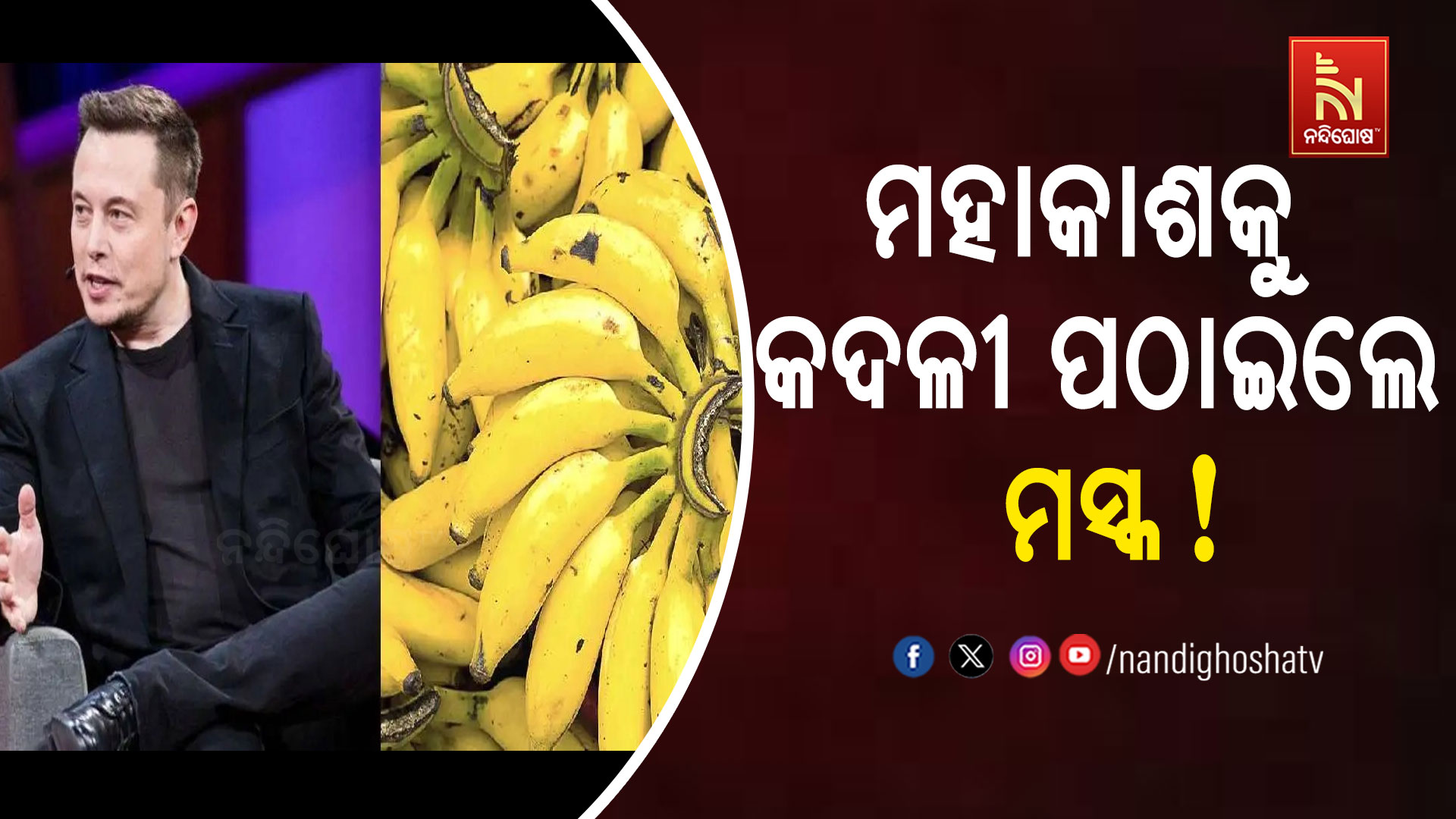 ମହାକାଶକୁ-କଦଳୀ-ପଠାଇଲେ-ମସ୍କ !