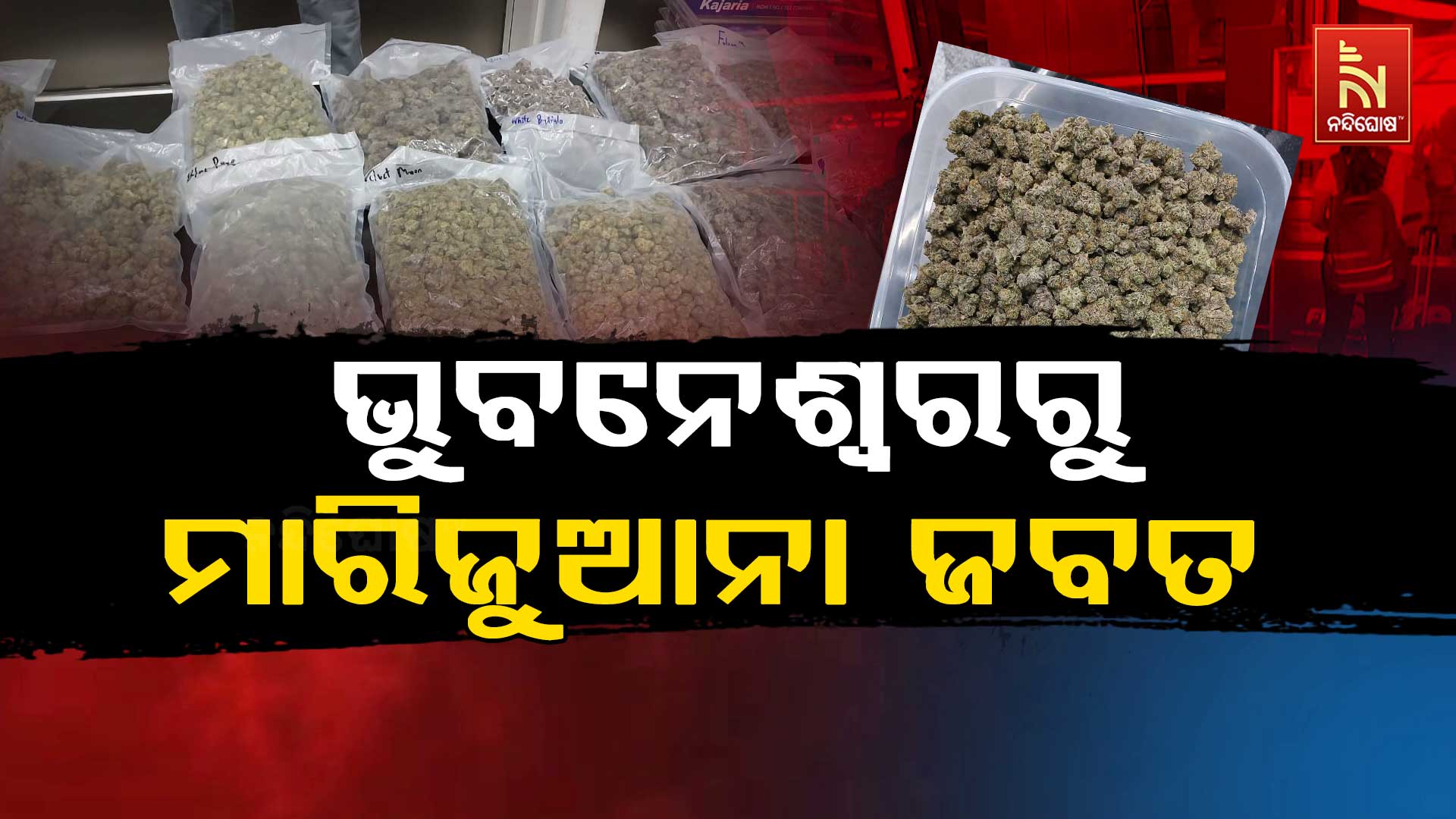 bbsr marijuana