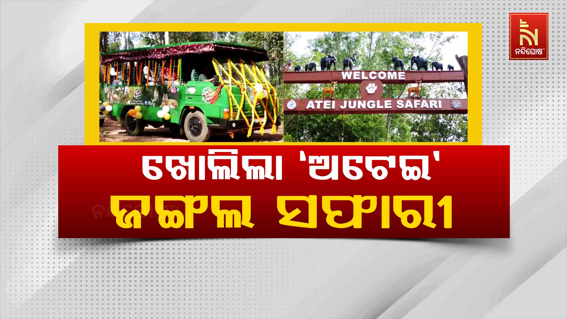 ଖୋଲିଲା-‘ଅଟେଇ’-ଜଙ୍ଗଲ-ସଫାରୀ