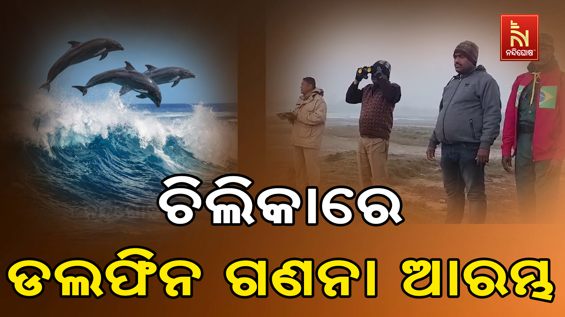 ଚିଲିକାରେ ଡ଼ଲଫିନ ଗଣନା ଆରମ୍ଭ