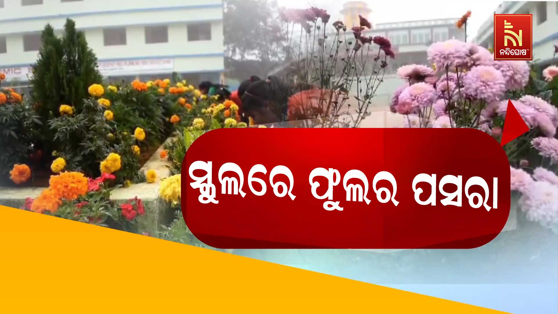 KAMKHYANAGAR_SCHOOL-FLOWER_PKG_HRUDAYA