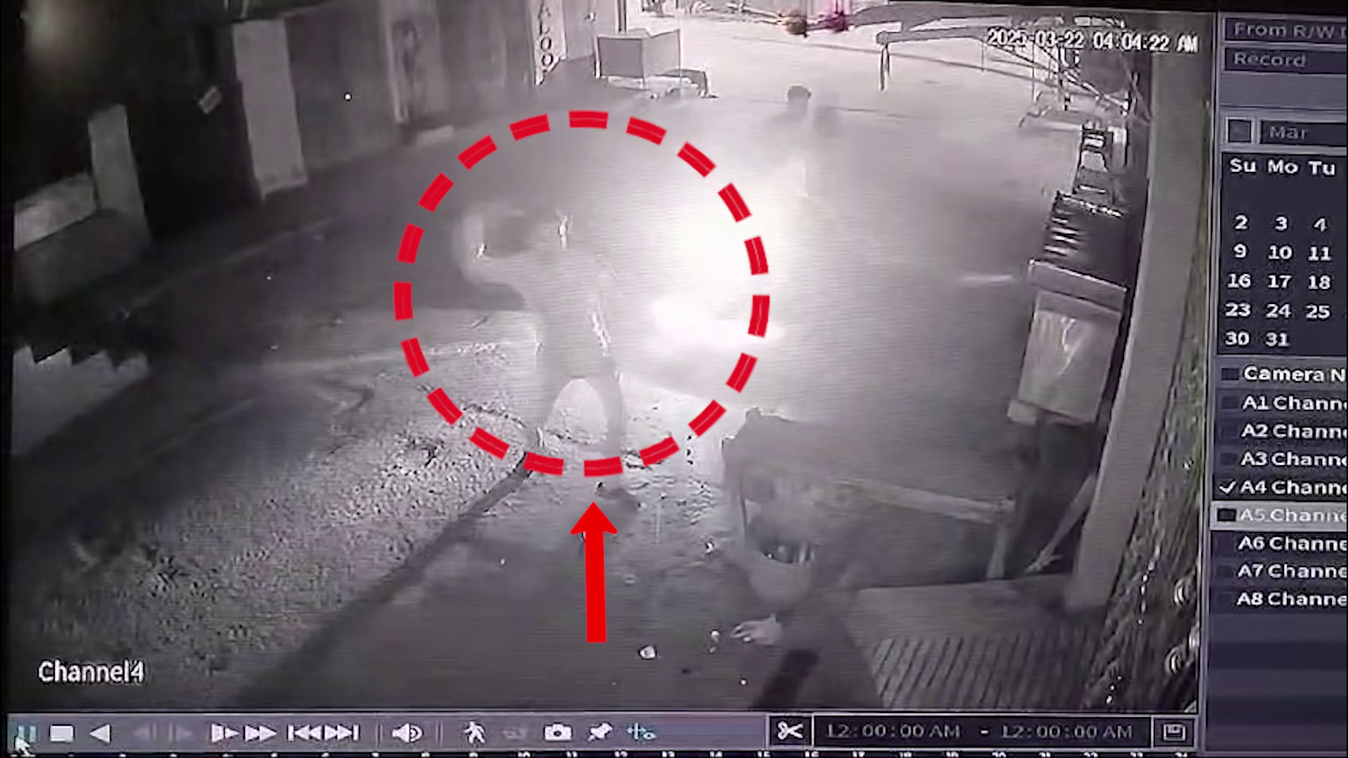 vlcsnap-2025-03-23-11h01m01s438