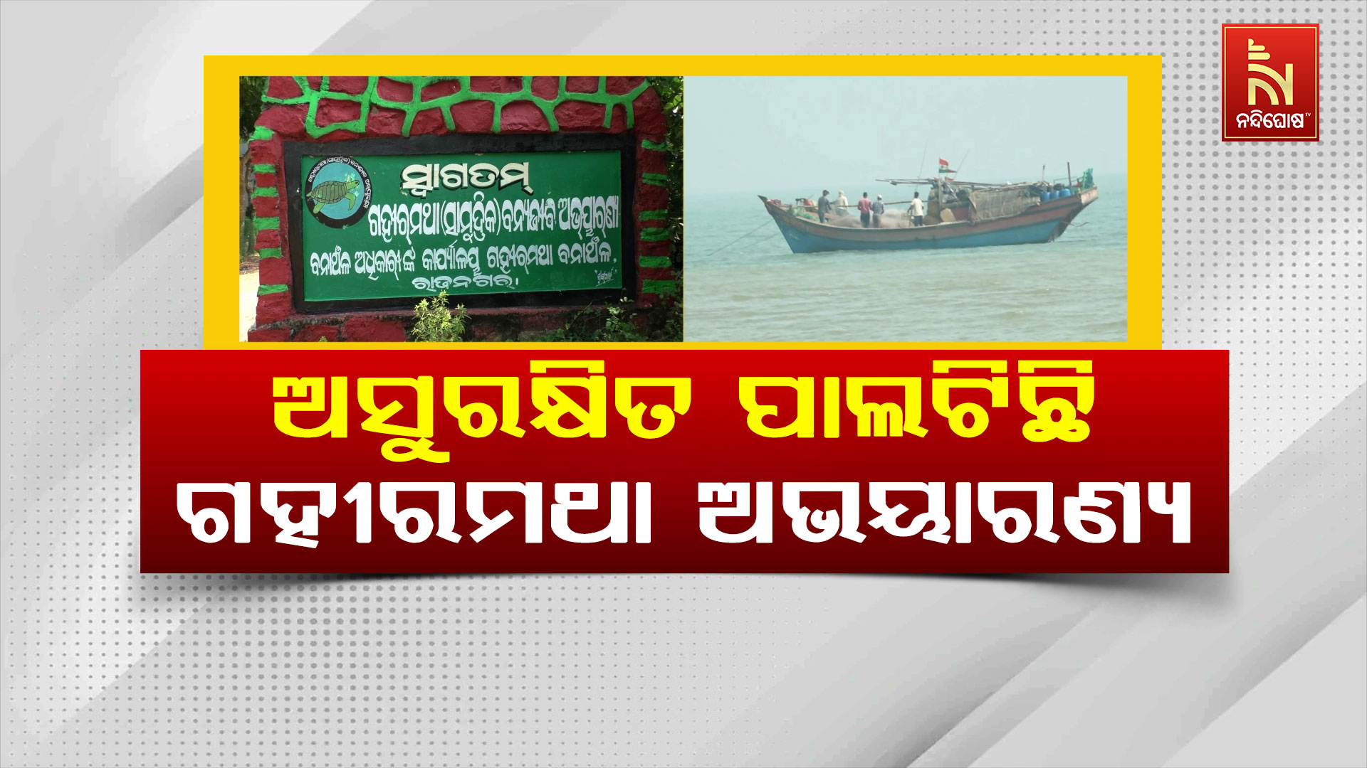 ଅସୁରକ୍ଷିତ-ପାଲଟିଛି-ଗହୀରମଥା-ଅଭୟାରଣ୍ୟ