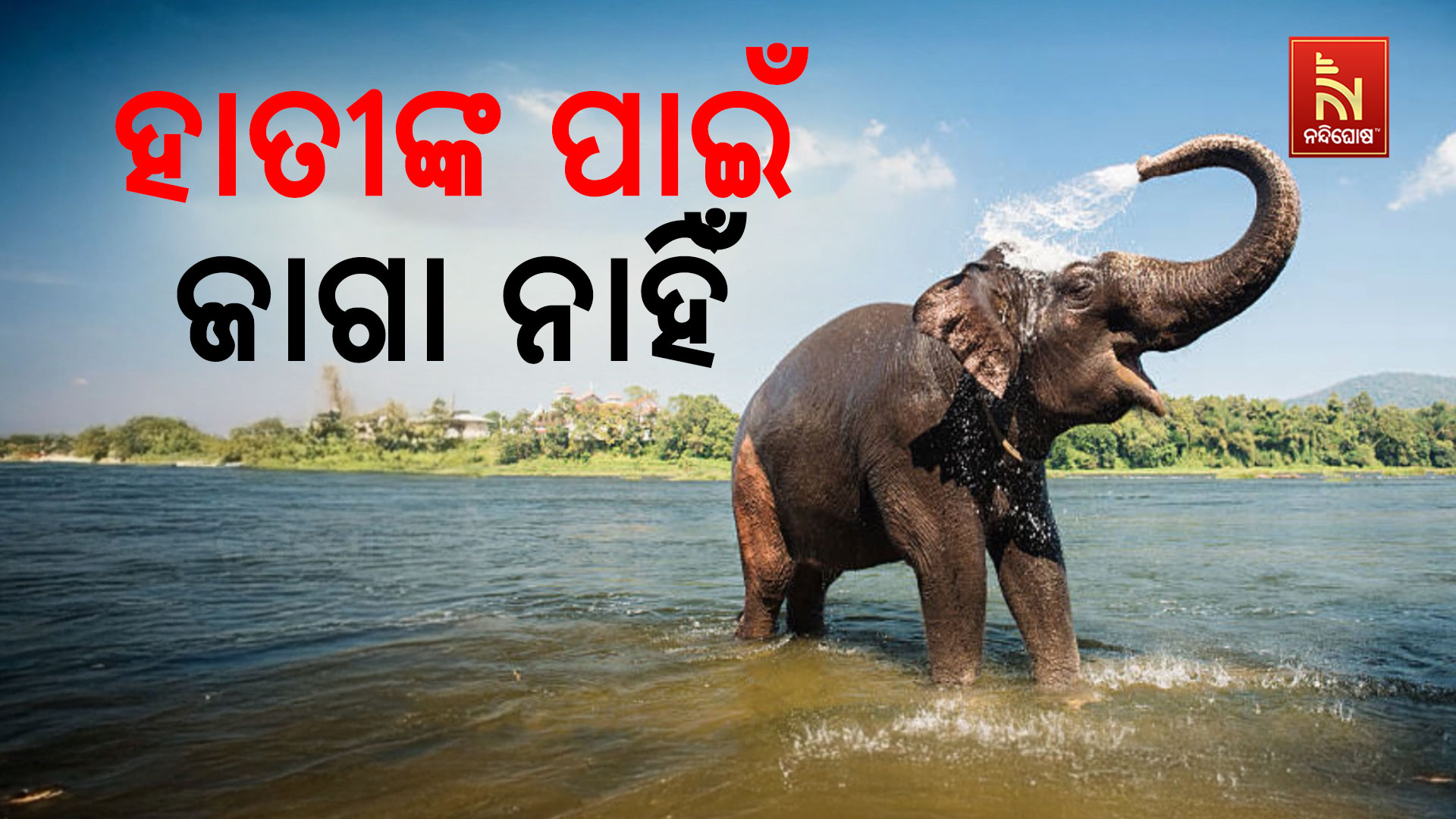 ହାତୀଙ୍କ-ପାଇଁ-ଜାଗା-ନାହିଁ-up