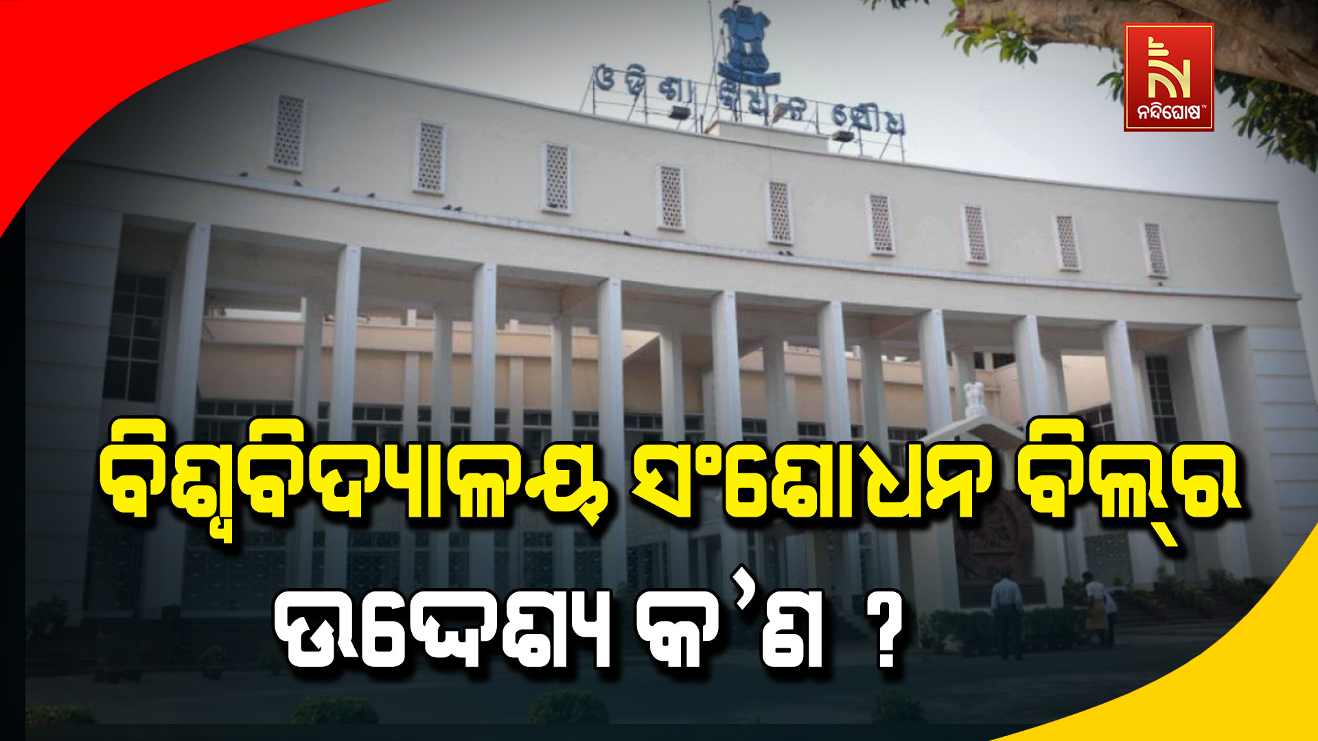 University Amendment Bill