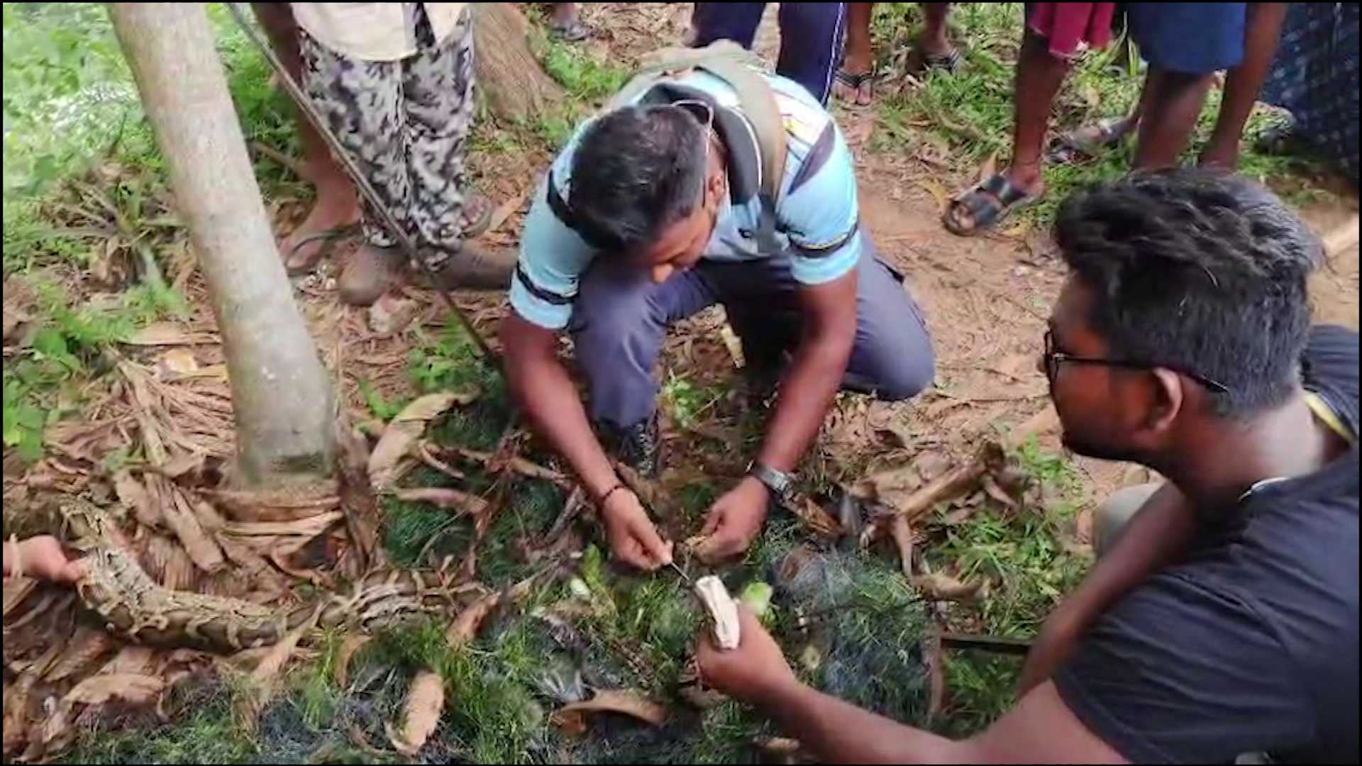 vlcsnap-2025-04-22-12h16m06s488