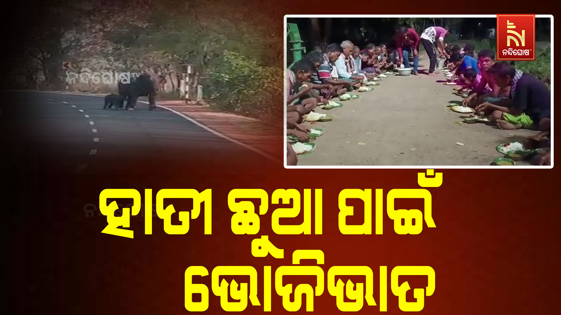 ହାତୀ-ଛୁଆ-ପାଇଁ-ଭୋଜିଭାତ