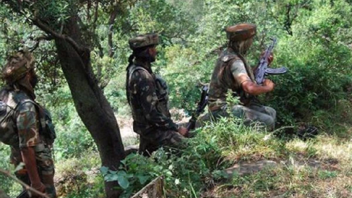 bsfsearchopperation-1731079953